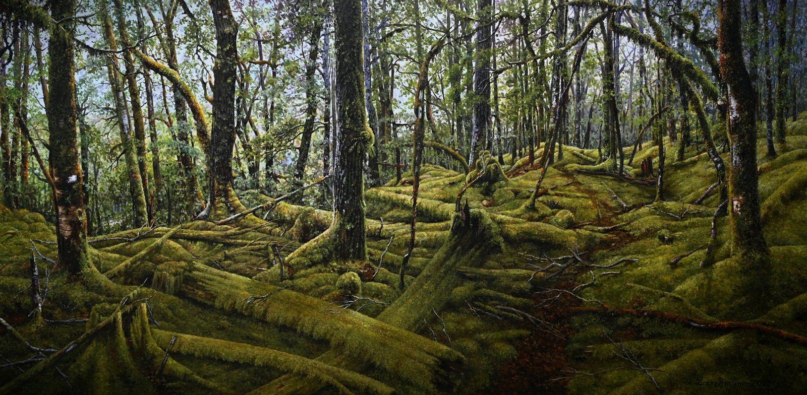 Haast Pass Forest