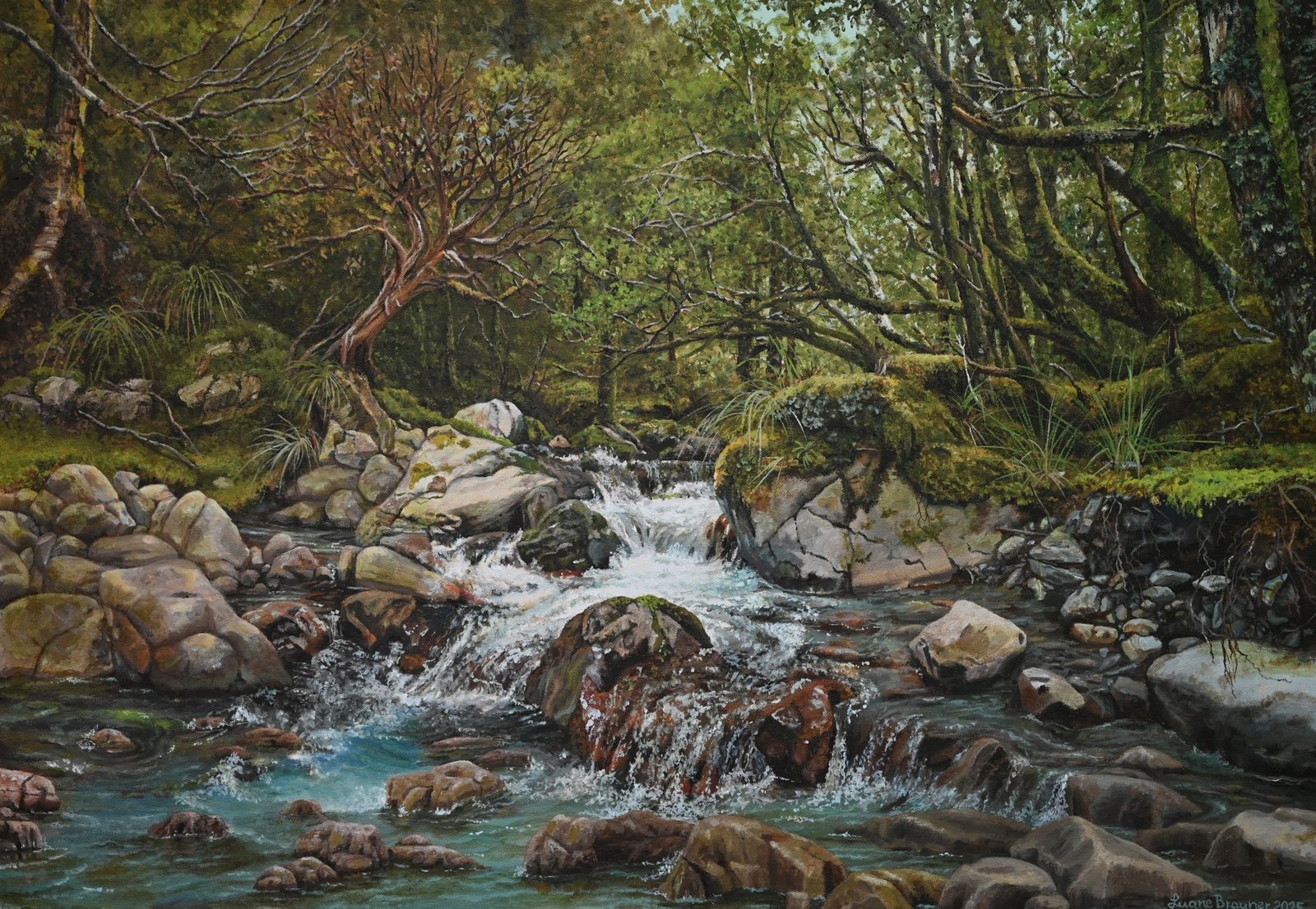 Speargrass Creek