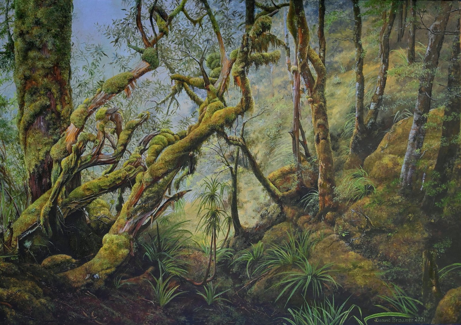 Table Land